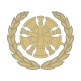 8b - Staff Fire Chief.jpg